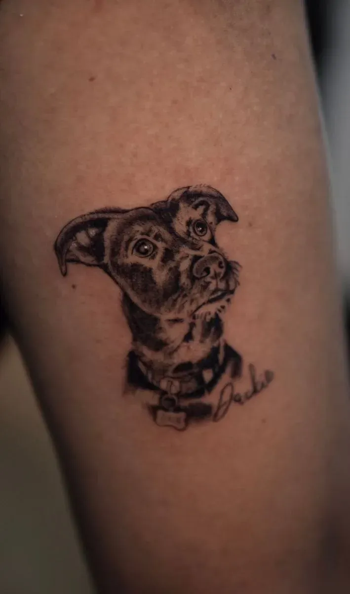 Perrito microrealismo — 
